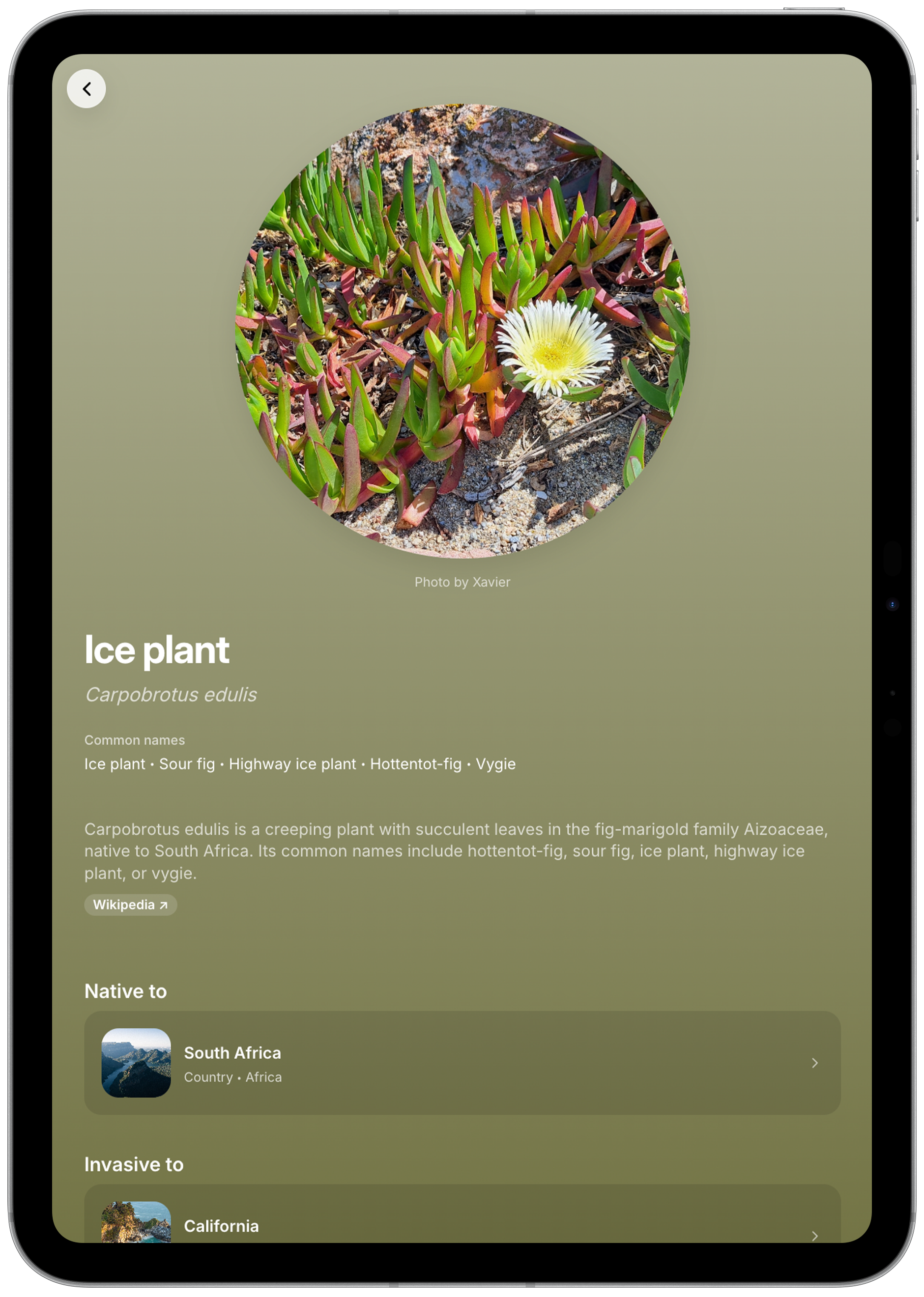 Earthvolve species exploration interface