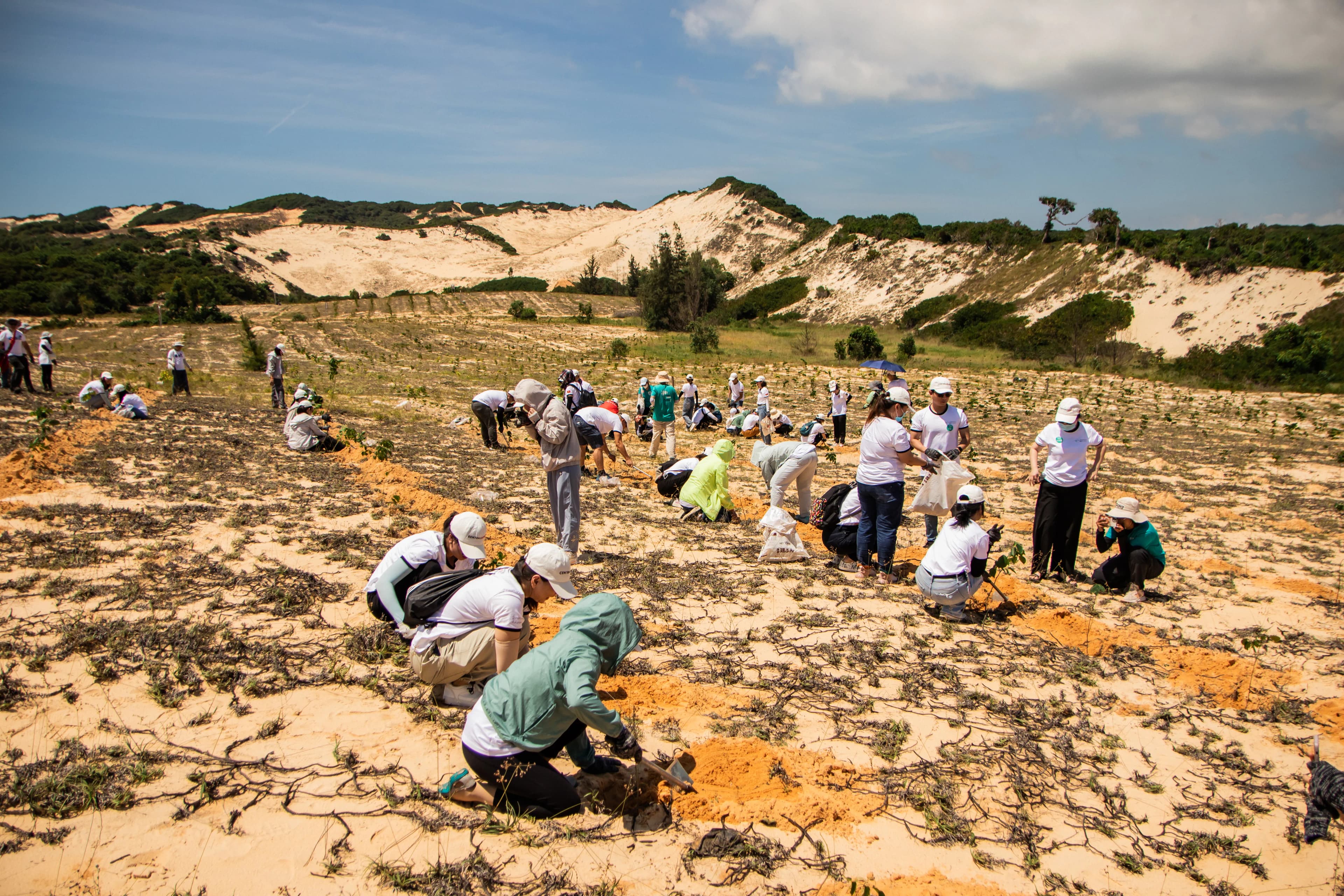 Volunteers working together outdoors