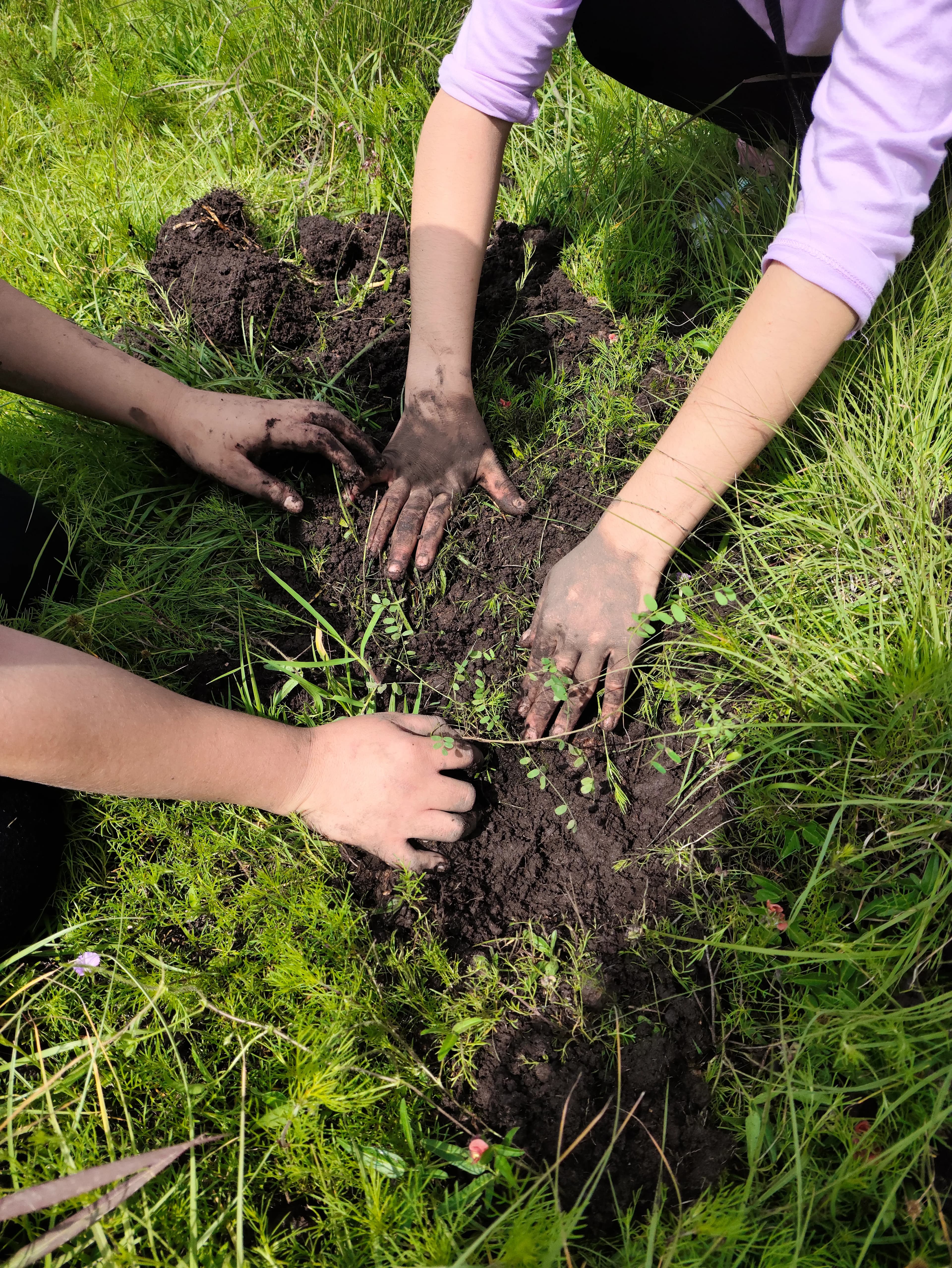 Volunteers working together outdoors