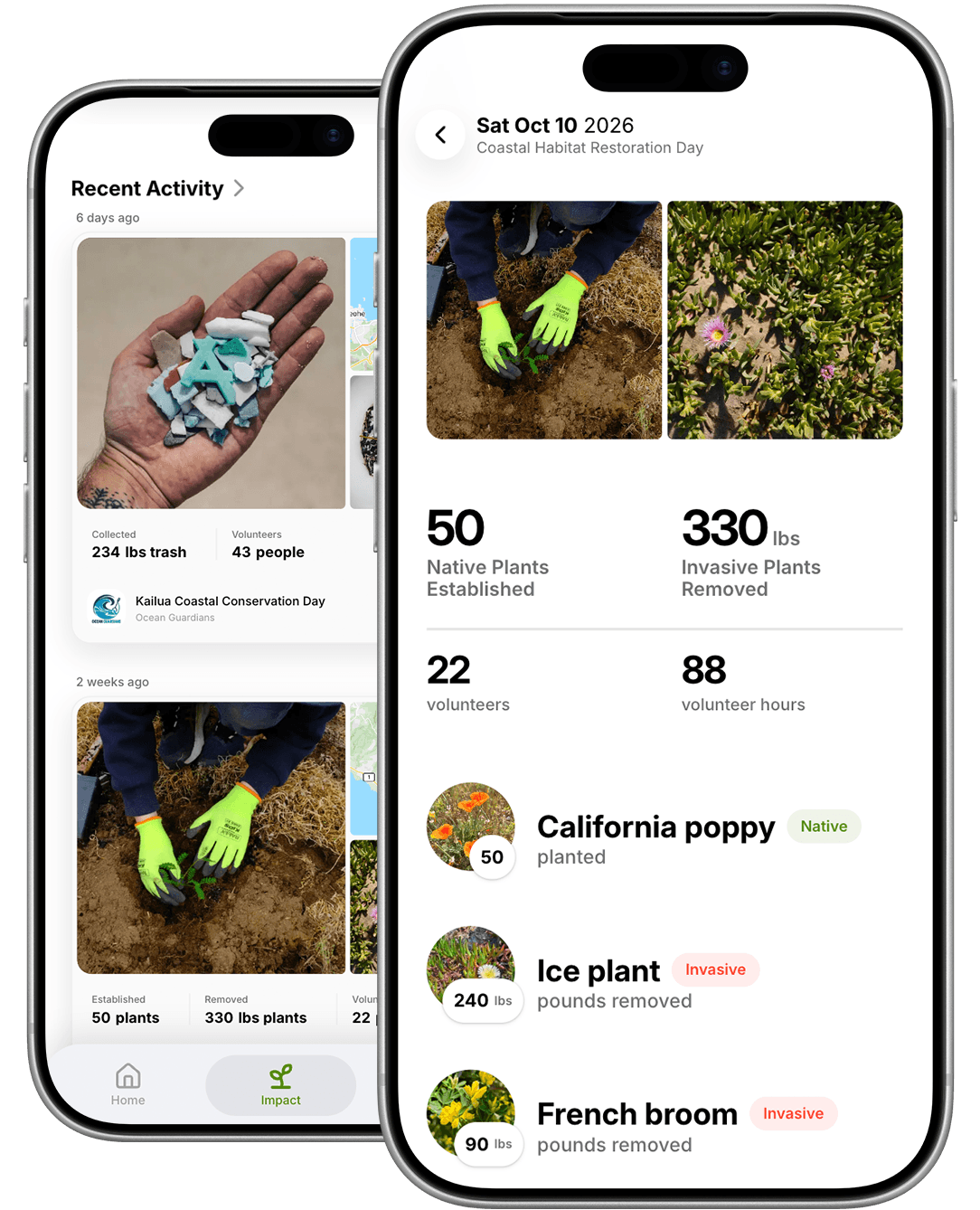 Earthvolve recent activity and event impact details