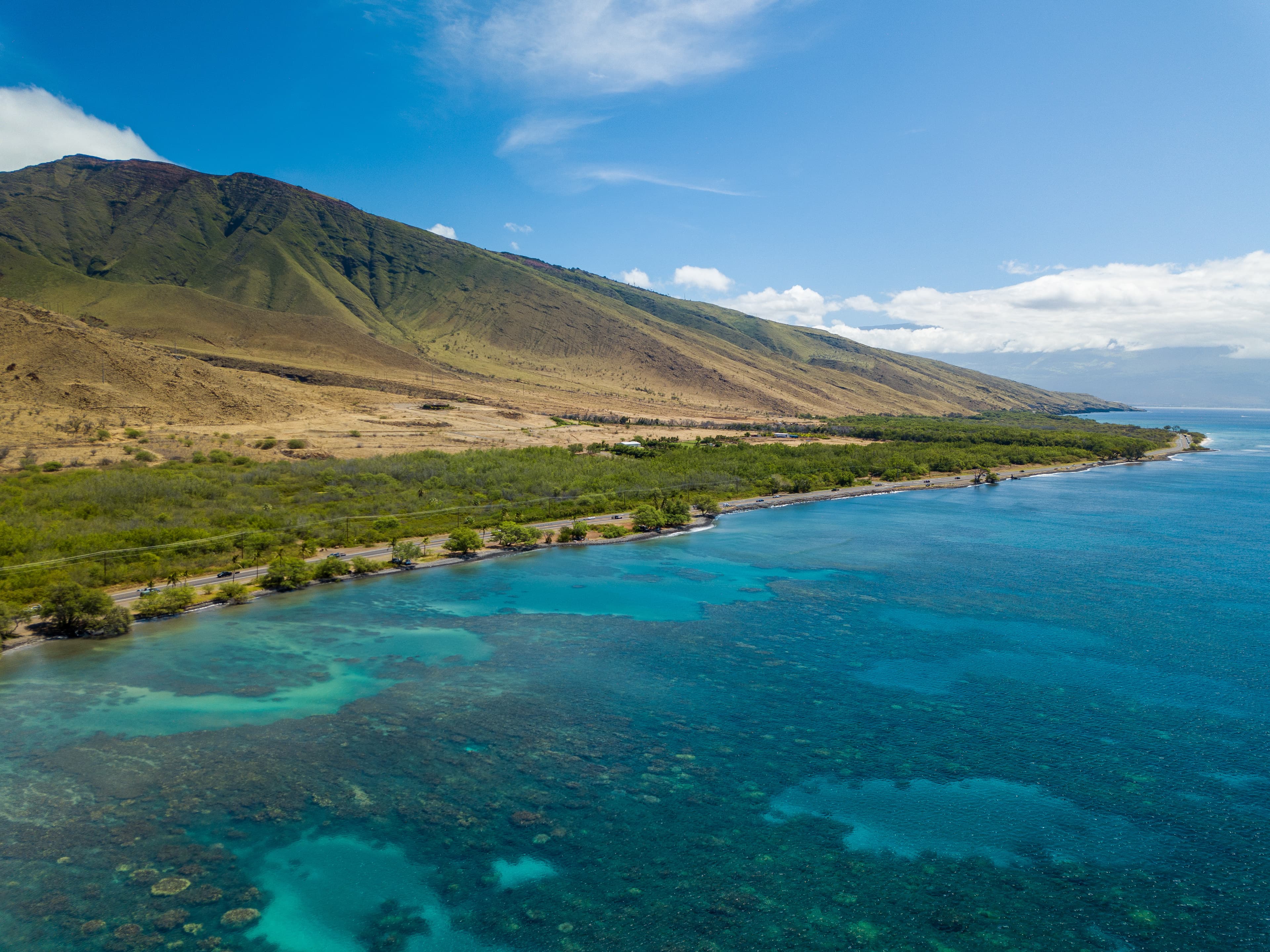 Maui